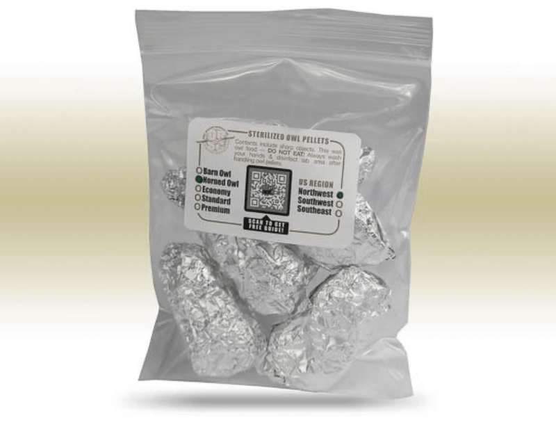 Test Your Dissection Skills with Great Horned Owl Pellets