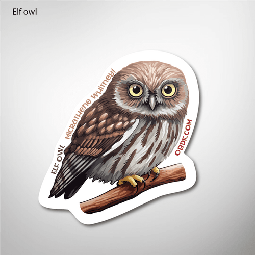Elf Owl 2"x2.16" Vinyl Sticker