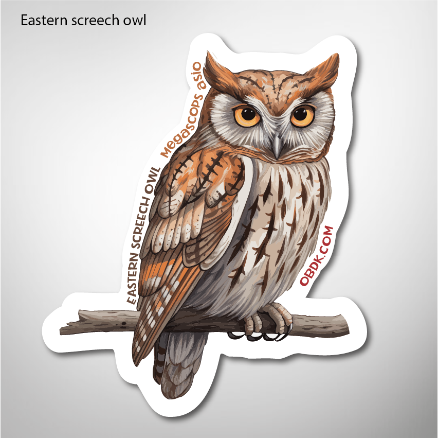 Eastern Screech Owl 2"x2.35" Vinyl Sticker