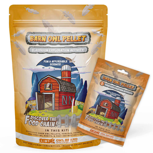 Extra-Large 5-Pack Exploration Activity + Guide