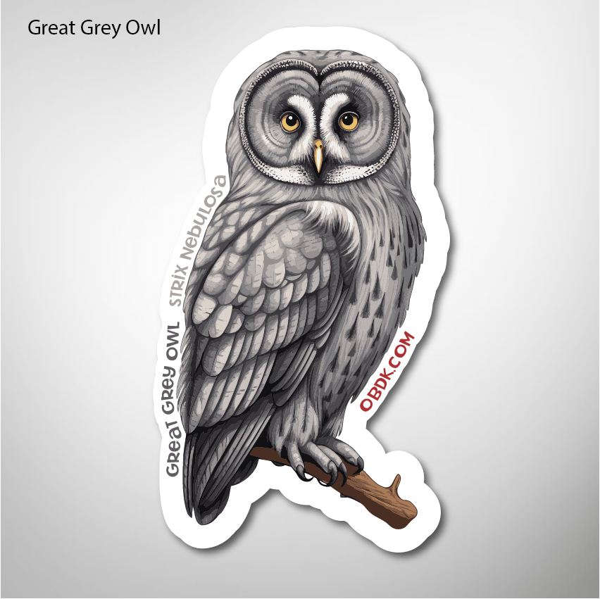 Great Grey Owl 1.7″×3″ Vinyl Sticker