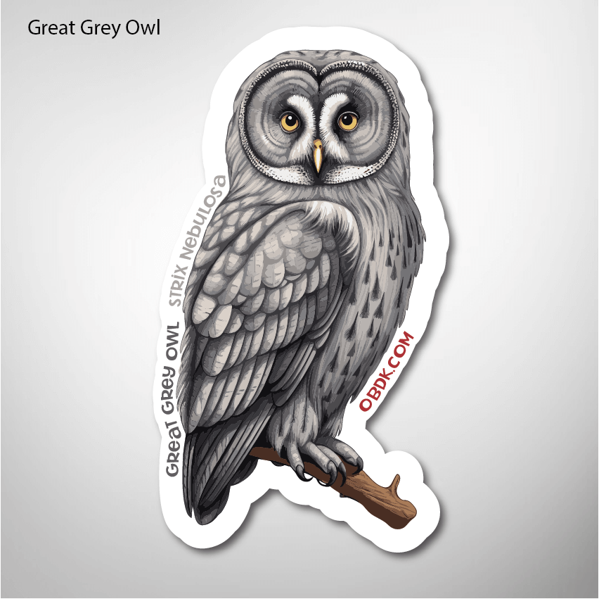 Great Grey Owl 1.7″×3″ Vinyl Sticker promoting owl conservation and wildlife education.