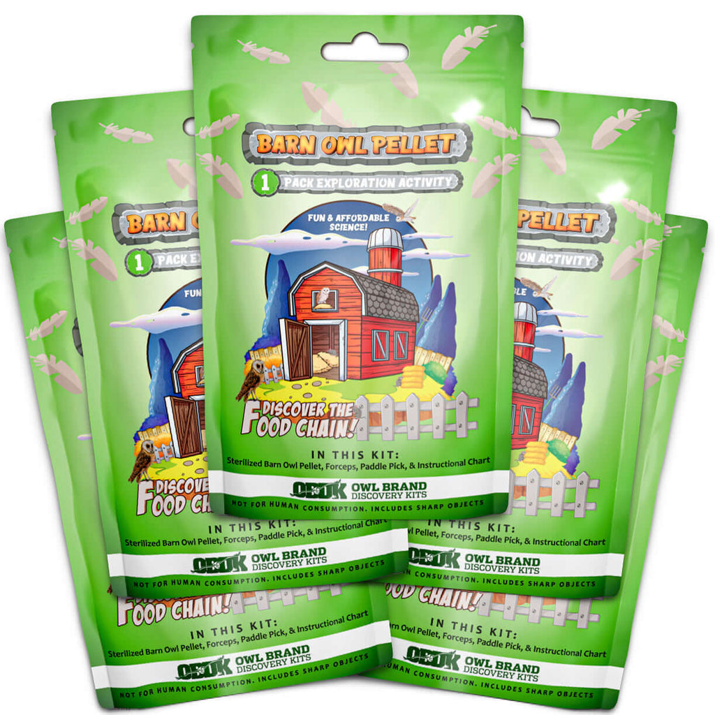 5 Medium 1-Pack Exploration Activities by Owl Brand Discovery Kits featuring Barn Owl Pellets for wildlife education.