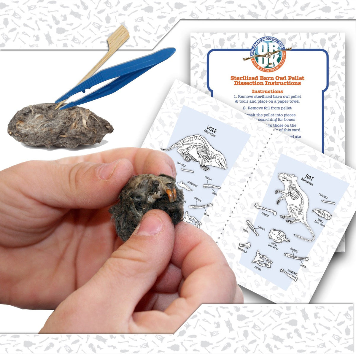 CANADA ONLY - 10 Medium Owl Pellets - Includes Shipping