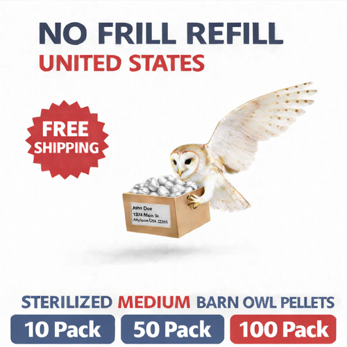 NO FRILL REFILL - 100 MEDIUM PELLETS - Free Shipping