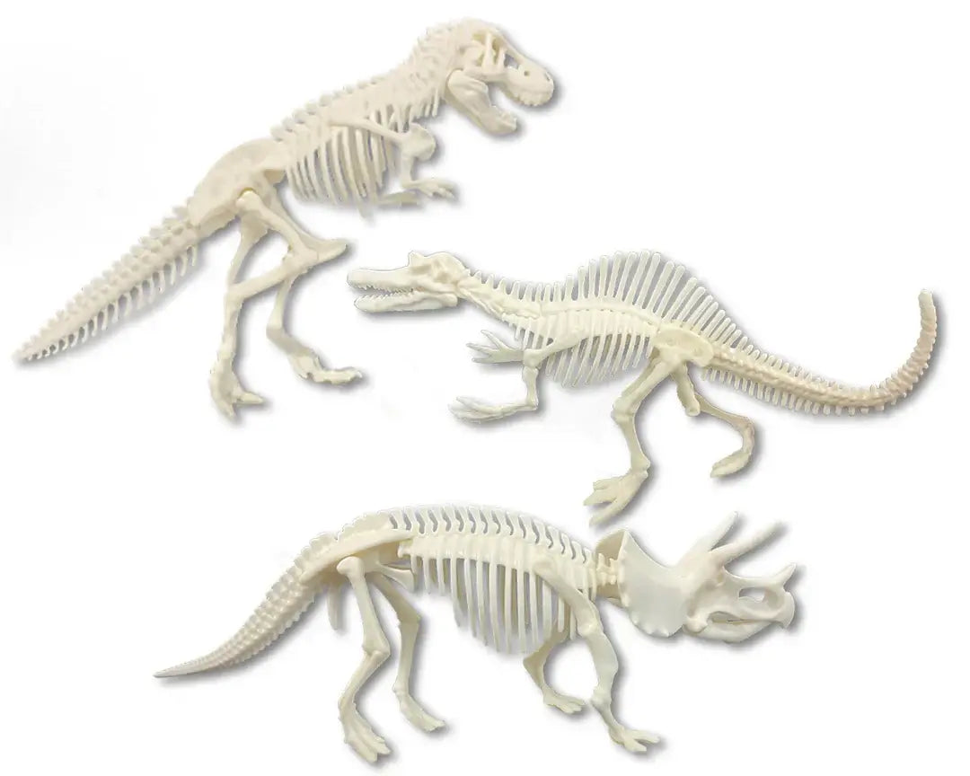 Discover It Dinosaur Dig – Owl Brand Discovery Kits