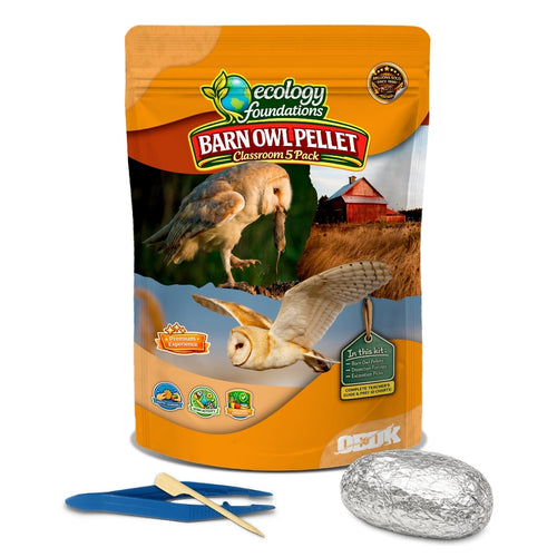 Ecology Foundations Premium Classroom Essentials for Teaching 5 Students