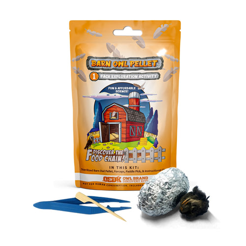 Extra-Large 1-Pack Exploration Activity