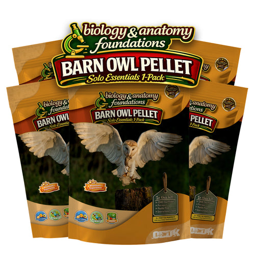 FIVE Solo Essentials Jumbo Barn Owl Pellet 1-Pack Activities