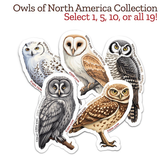 Owls of North America Sticker Collection -- Select 5