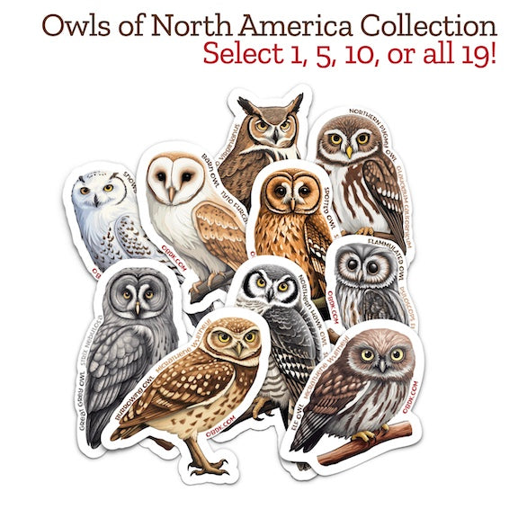 Owls of North America Sticker Collection -- Select 10