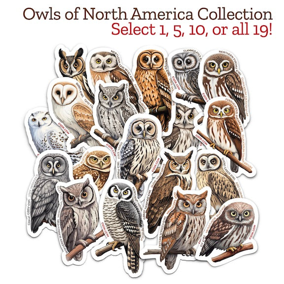 Owls of North America Sticker Collection -- All 19!