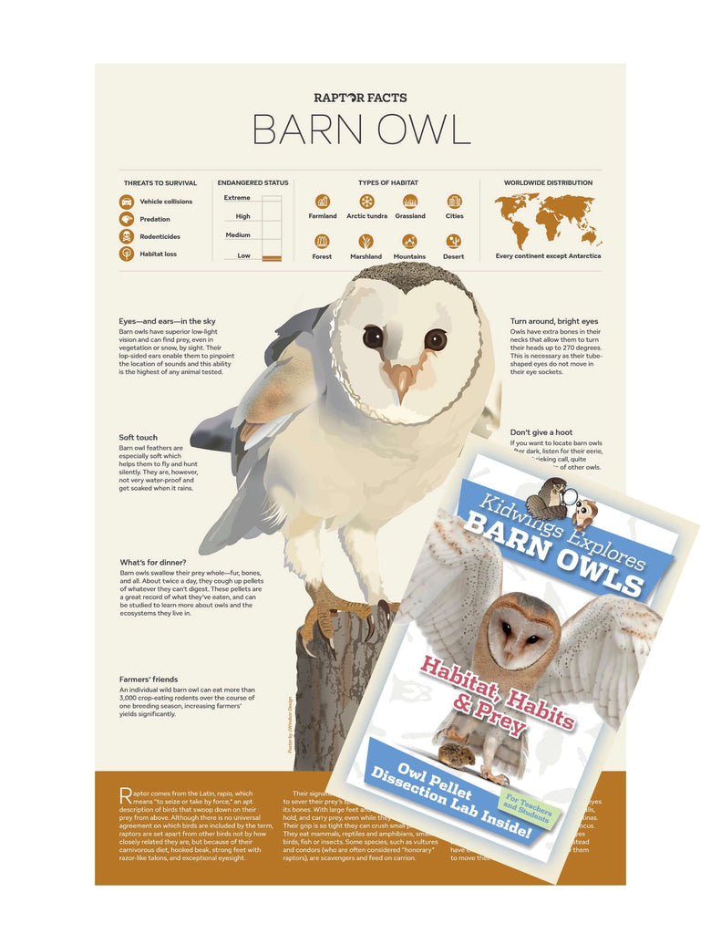 Raptor Facts: Barn Owl Poster and Habitat, Habits, & Prey Guide showcasing owl facts and dissection tools for wildlife education.