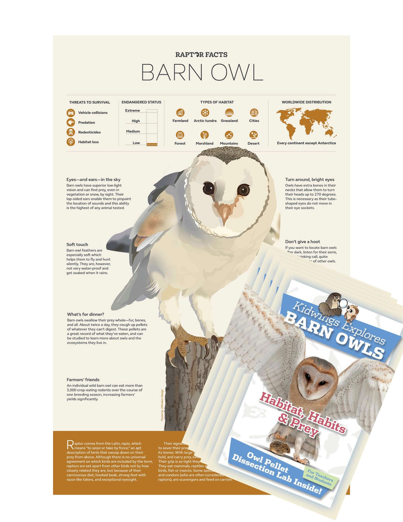 Raptor Facts: Barn Owl Poster and 10 Habitat, Habits, & Prey Guides for wildlife education and biology learning.