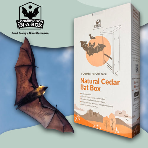 1-Chamber Cedar Bat Box by OBDK (Includes Shipping)