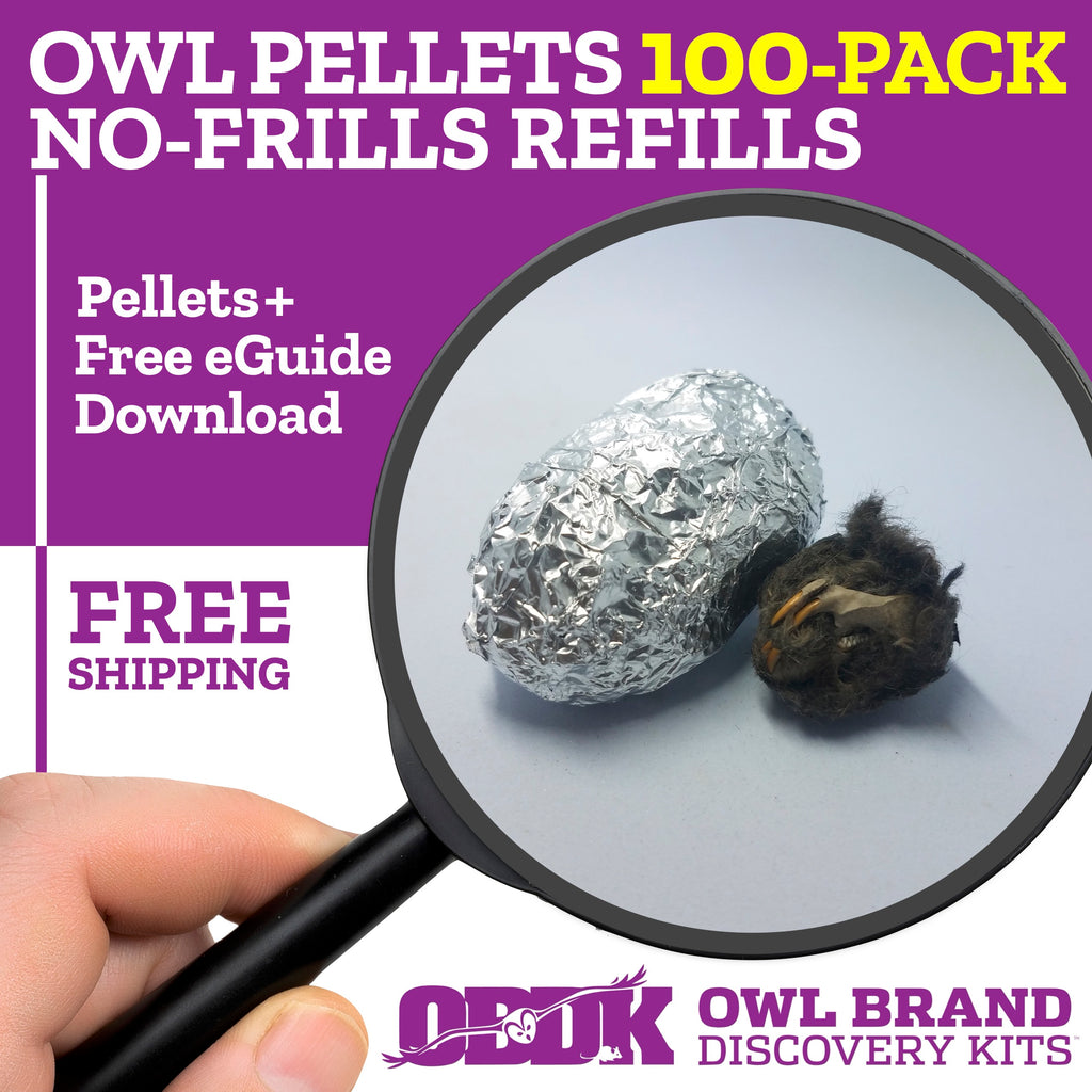 100 Medium Owl Pellets - Includes Shipping