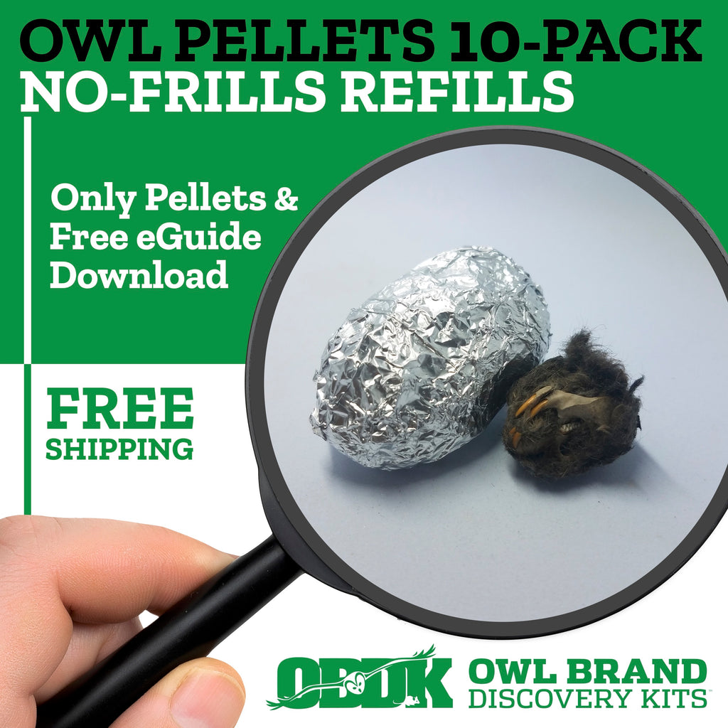 10 Medium Owl Pellets - Includes Shipping