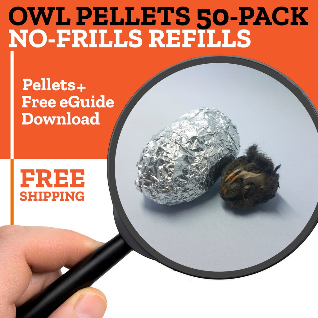 50 Medium Owl Pellets - Includes Shipping
