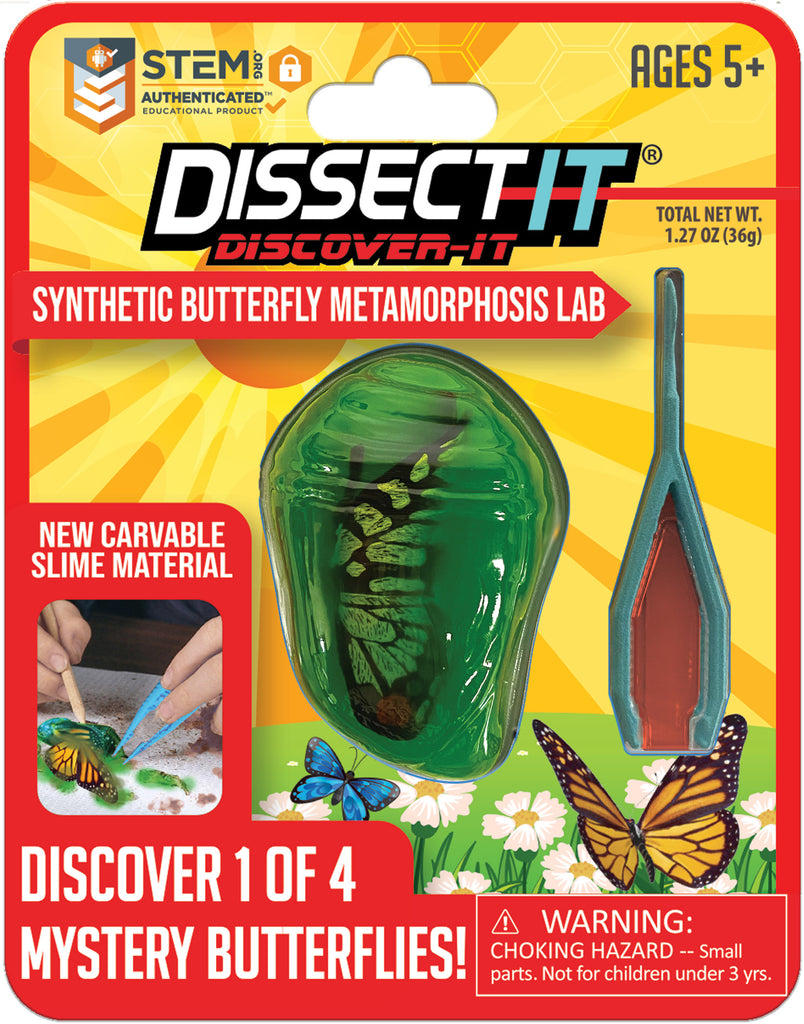 Discover It - Butterfly Lab