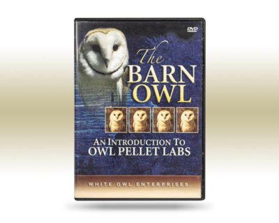 barn owl dissection dvd