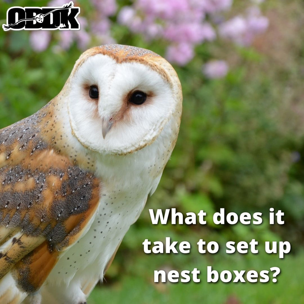 What does it take to set up nest boxes? 