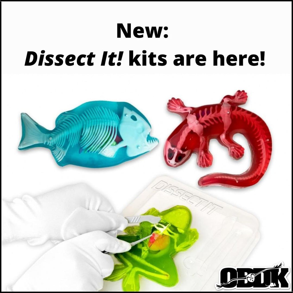New: Dissect It! kits are here!