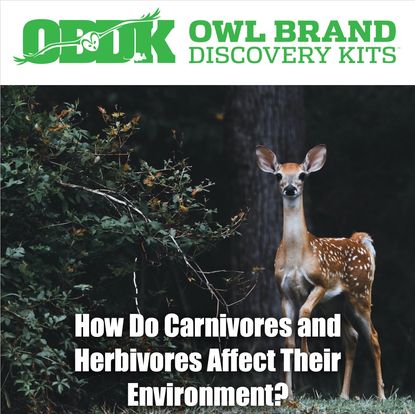 How Do Carnivores and Herbivores Affect Their Environment?