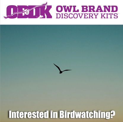 Interested In Birdwatching?