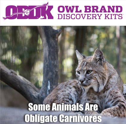 What is an Obligate Carnivore?
