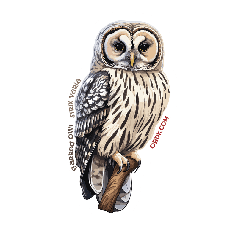 Barred Owl: A Fascinating Creature of the Forest