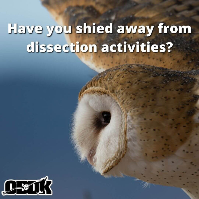 Have you shied away from dissection activities?