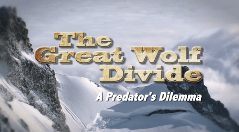 We have your next lesson plan all set