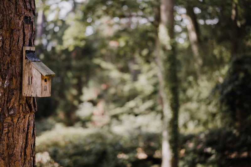 What are nest boxes and how do they help?