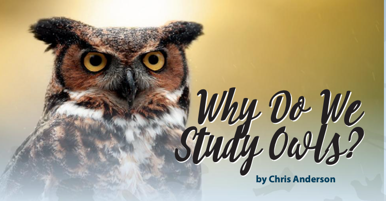 Why do we study owls?