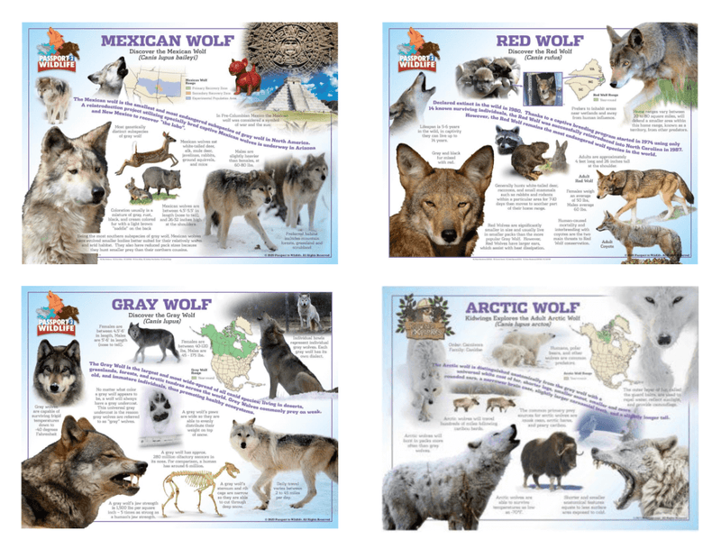 Expand Your Poster Collection!