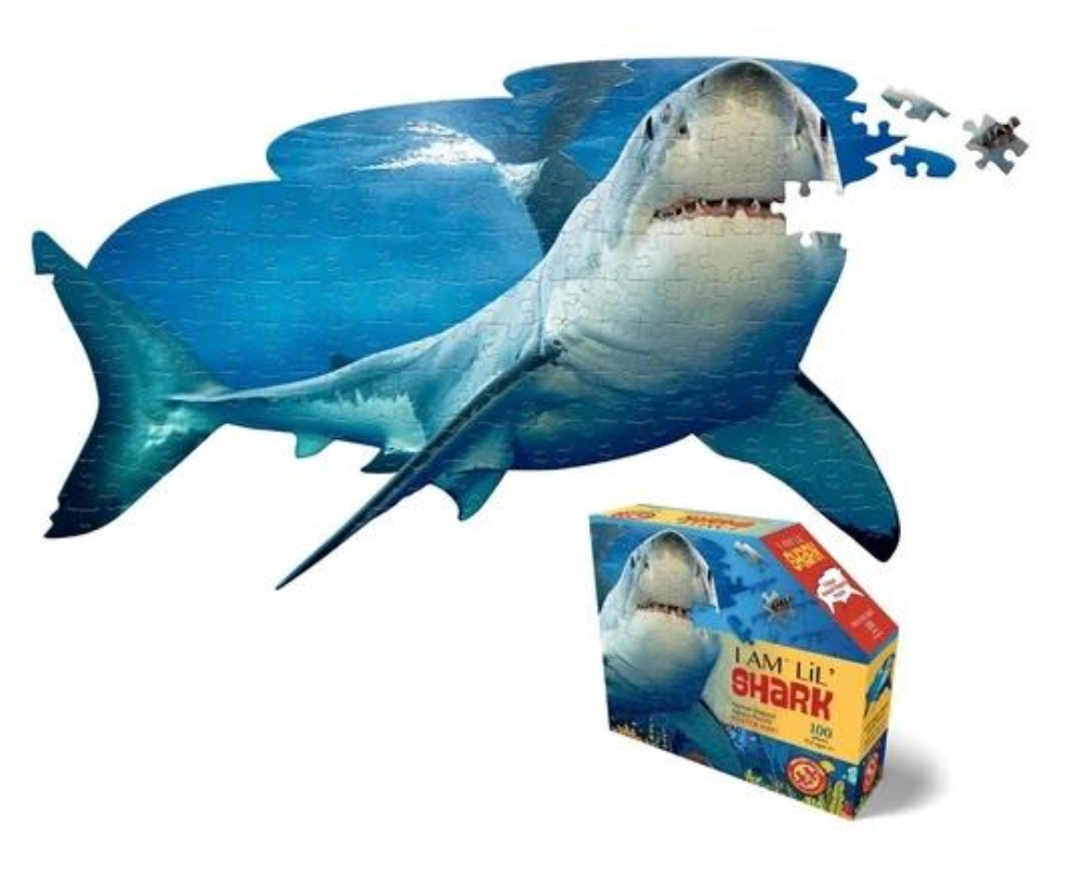 Start a Conversation About Sharks This Summer With Our Puzzle!
