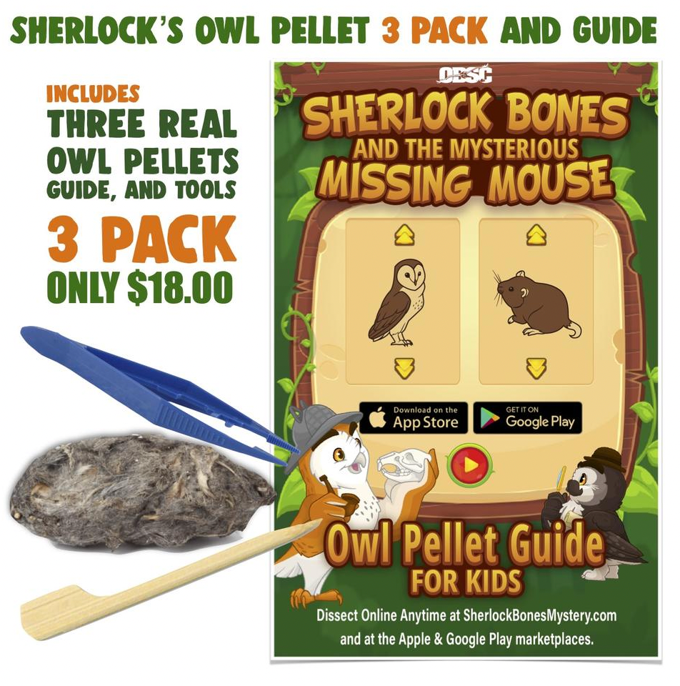 Have You Gotten a Sherlock Bones Pack Yet?