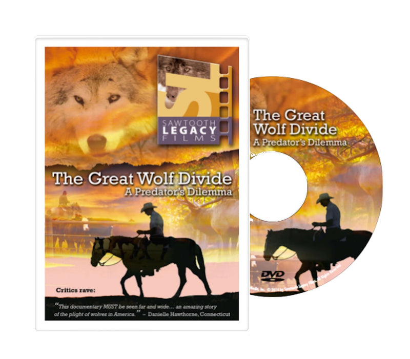 Downtime can be relaxing AND educational!