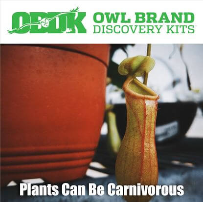 Plants Can Be Carnivorous