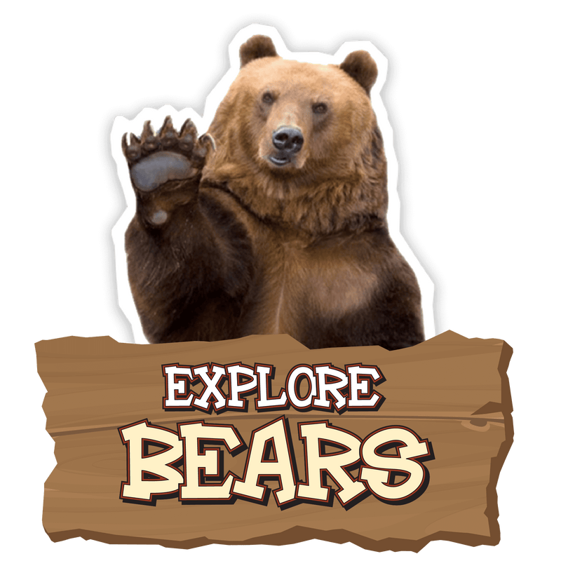 Recreation in Bear Country eBook