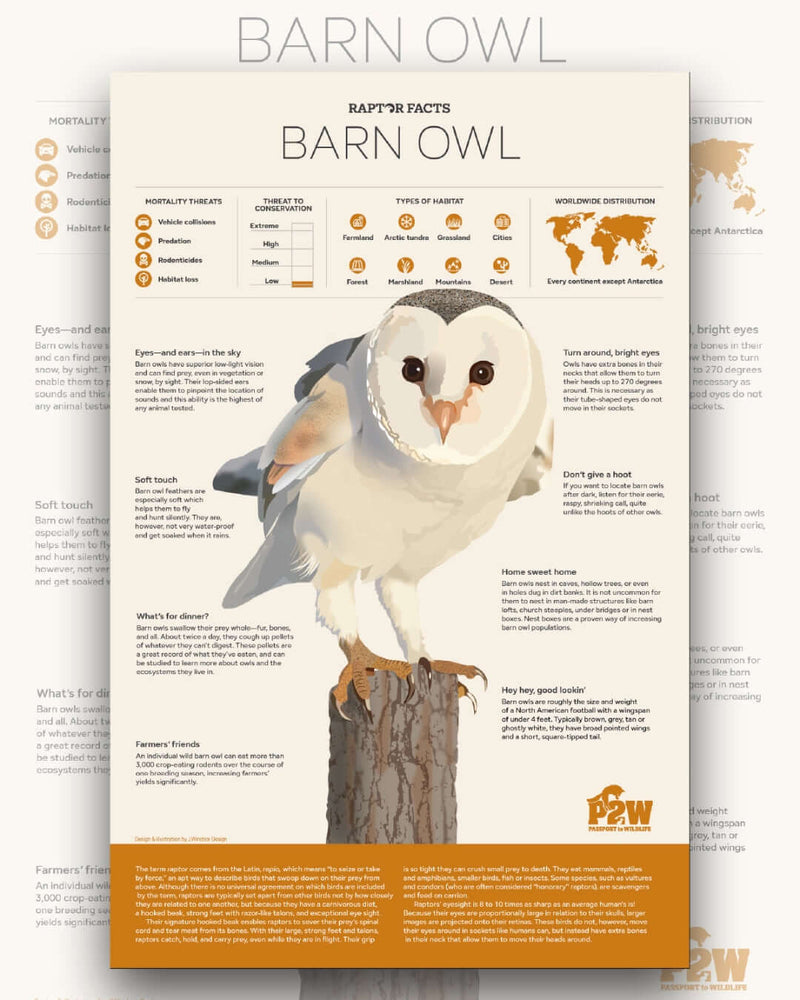 Let’s focus on our posters and adorning the walls of classrooms