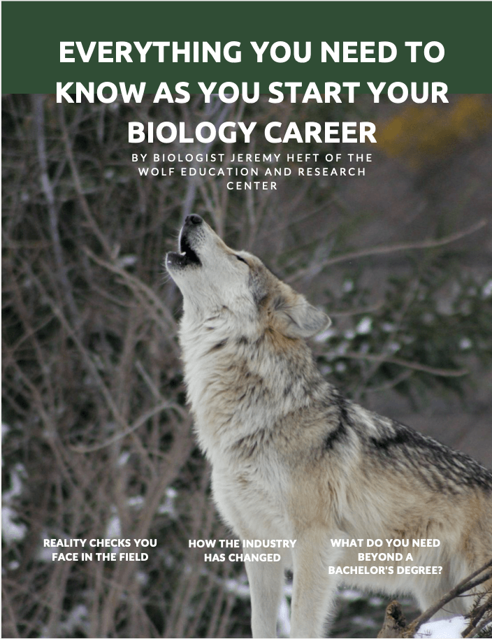 Starting a Career in Biology?