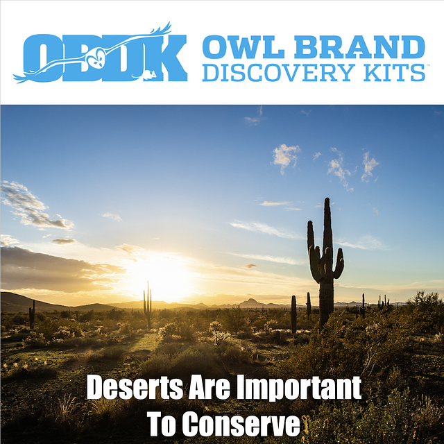Deserts Are Important to Conserve