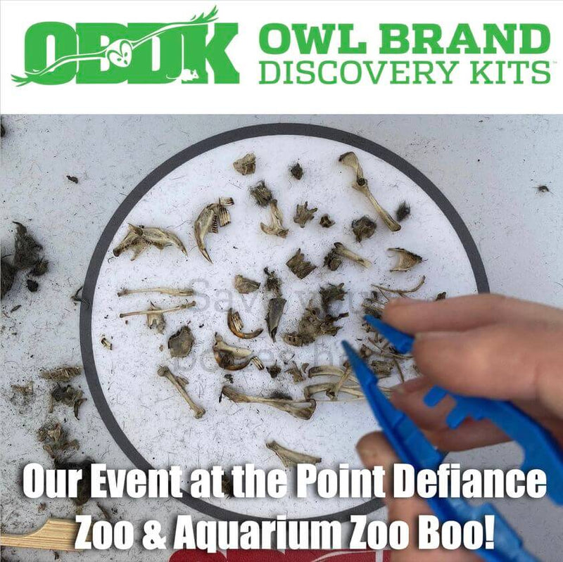 P2W Event at Point Defiance Zoo & Aquarium Zoo Boo