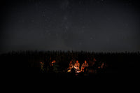 Storytime Sleuths #2: Campfire Stories of the Bear