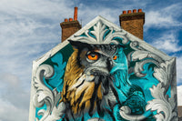 Owls in the City: Night Predators in Streetlight Territory