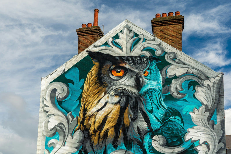 Owls in the City: Night Predators in Streetlight Territory