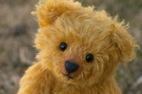 From Monster Bear to Teddy Bear: How Students Can Read Between the Lines of Animal Stories