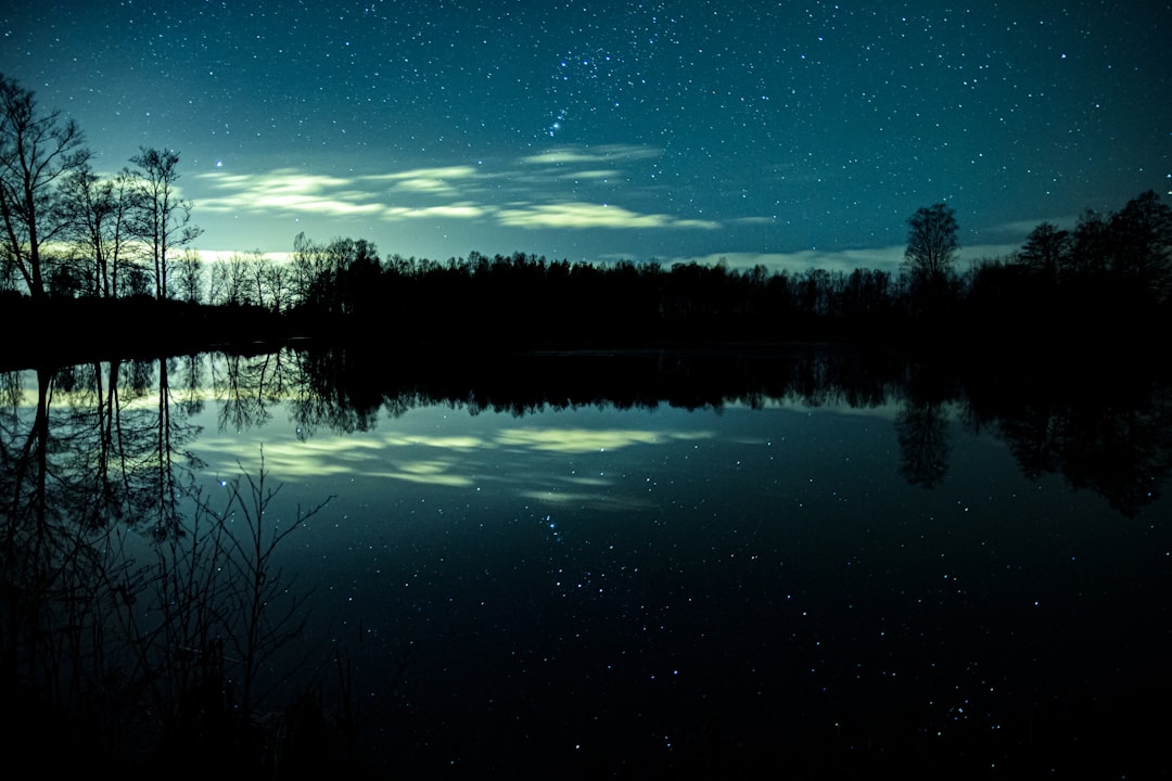 Bat flying low over a quiet pond at dusk to drink from the water