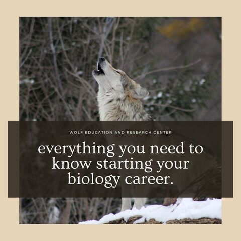 Interested in Becoming a Biologist?